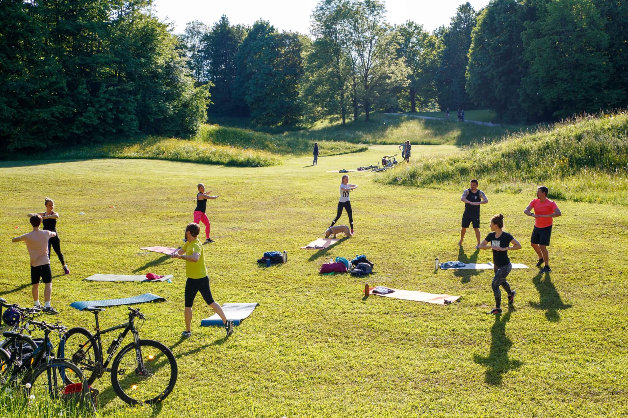 Active Coaching in Munich-Park Jumpers-Group Training
