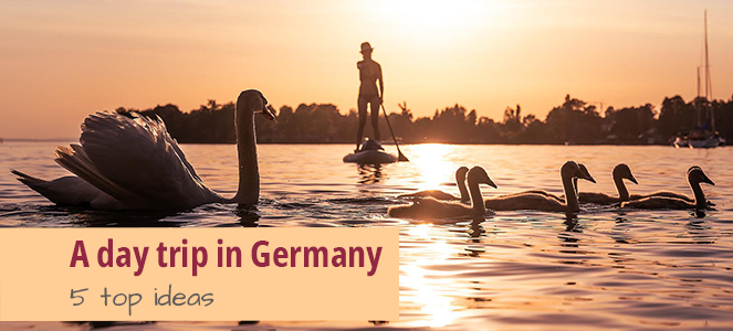 A Day Trip in Germany: 5 Top Ideas