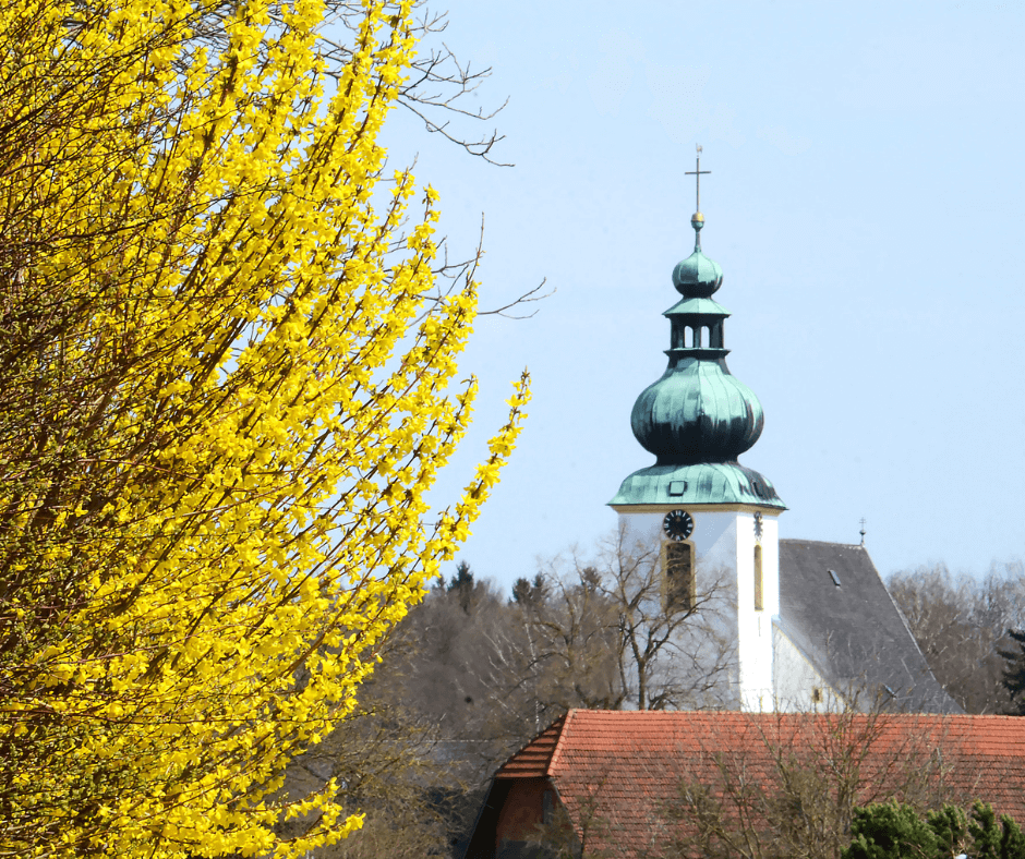 Vöcklabruck Austria view of the church tower in spring